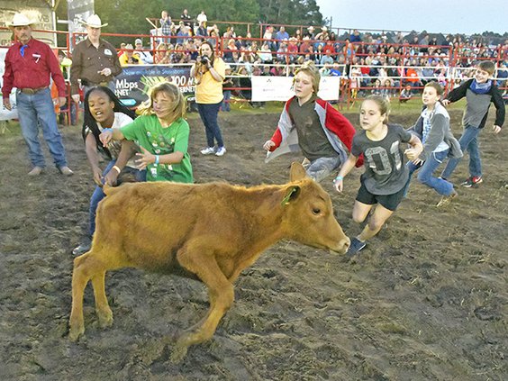 Kiwanis Rodeo_calf tail