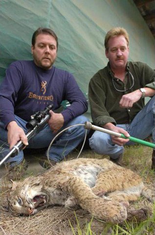bobcat killed attacked believed thursday same last