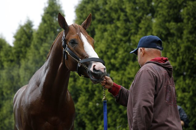 Justify