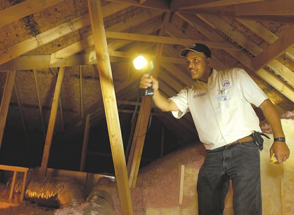 BIZ BUILDING CODESWeb