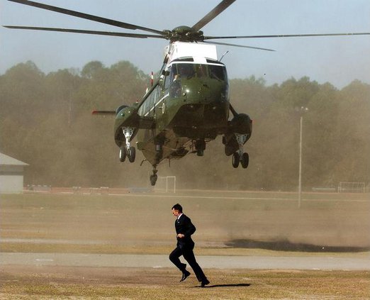 Bush chopper