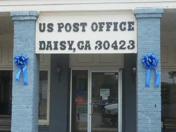 Daisy Lead for web