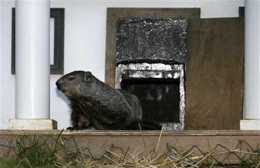 3ce0766e0c97470ea3516b3a61a8c34e