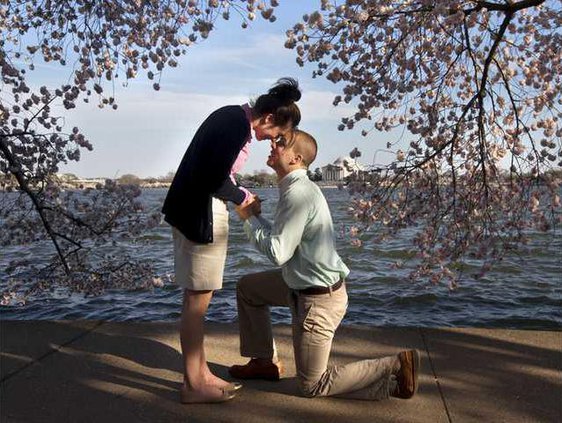 Cherry Blossoms Heal