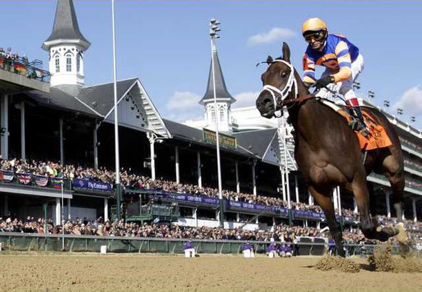 Kentucky Derby Horse  Heal