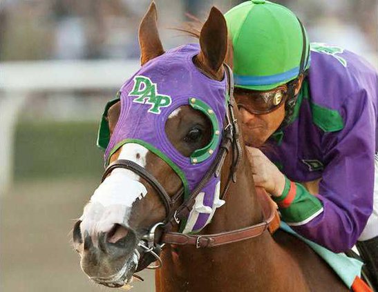 Preakness Stakes Cali Heal