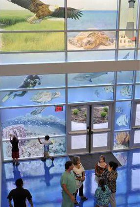 W 050812 MATTIE LIVELY 01