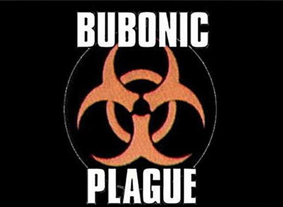 W bubonic-plague image