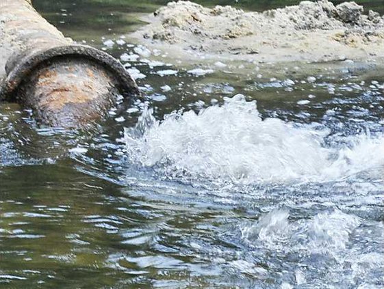 Web OGEECHEE DISCHARGE