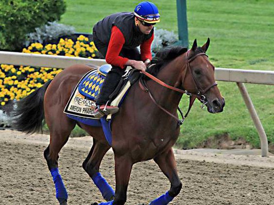 preakness web