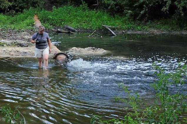071611 OGEECHEE DISCHARGE 01 web