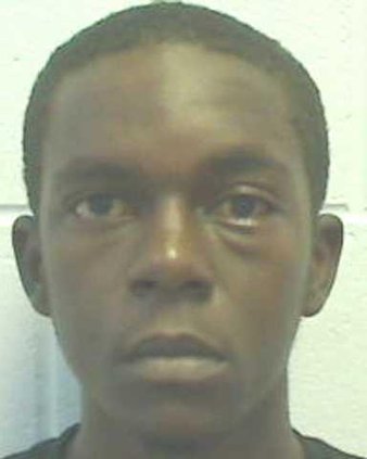 NICHOLAS CARROLL for Web