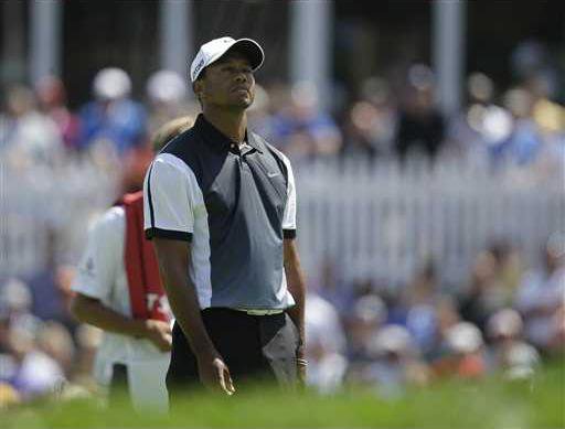 PGA Championship Golf Heal WEB