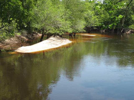 Satilla  Alapaha 027