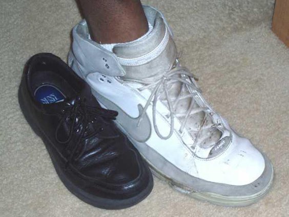 W Easteriling shoe web