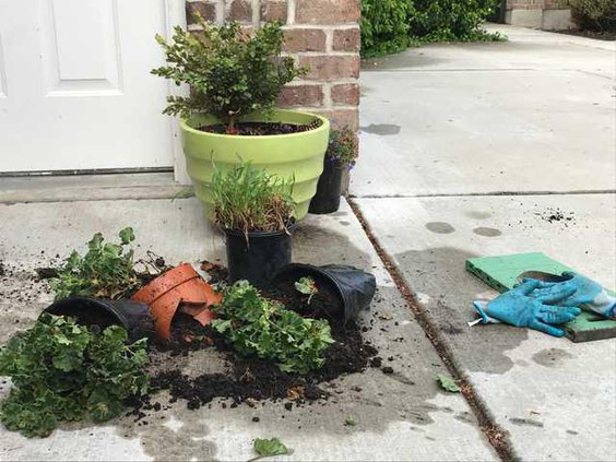 0ebc4079671f641bcd46544b8d976f12015c999ae5b41fcb5368824ce894c326