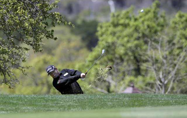 Texas Open Golf Heal