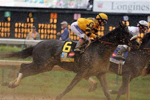 Kentucky Derby Horse  Heal