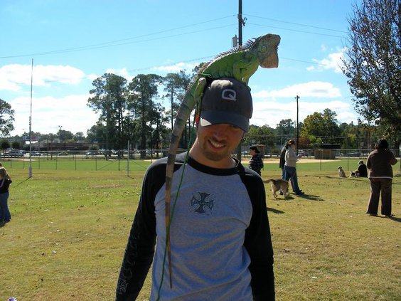 Lizard at Pet fun day