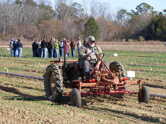 W Organic - Onion Tractor angle