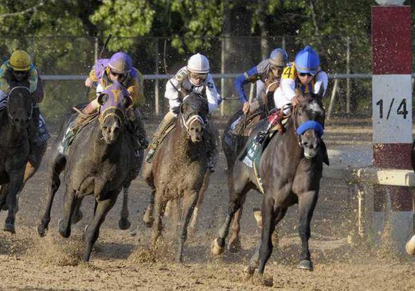 Arkansas Derby Horse  Heal