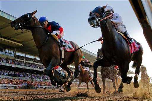 Belmont Stakes Horse  Heal WEB