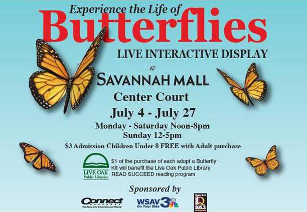 10514568 784982354867075 7580770463438382797 n