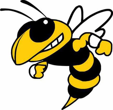 yellow-jacket-clip-art