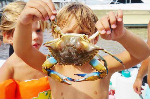 Crabbing Tourney file photo