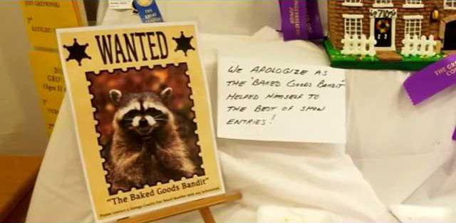 42e7bac8d7b475e920e6220384629c8adeaa98f9e6173d4031d5aa9c6d21224f