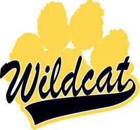 Wildcat clip art