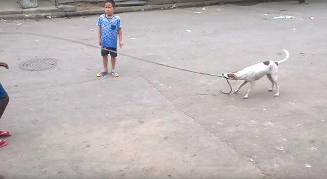 0111f8336b89cc05ff0a6cb6ff03eb4a1403816737b47c1cdc7d2ec82b024041