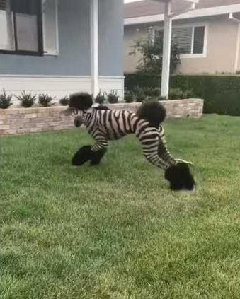 2ec7190f2868f3ceb1c9614f2876bdec32cbff89930f76e23f8ddafd1b3a2476