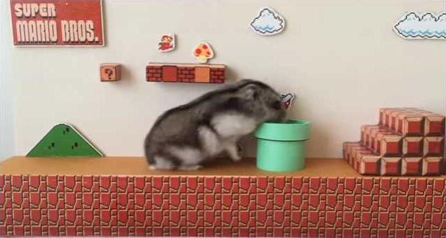 458070461562045a7090a7c5c795e8c78a95f522ae8fb1805313615854af6df8