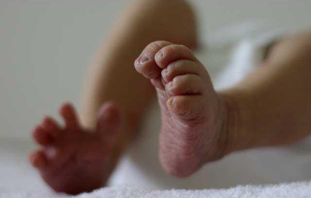 5fc3811e2b7295eb1180739a4a64bdf379cbd7a88911424e7ba3a6cf6e8e0262