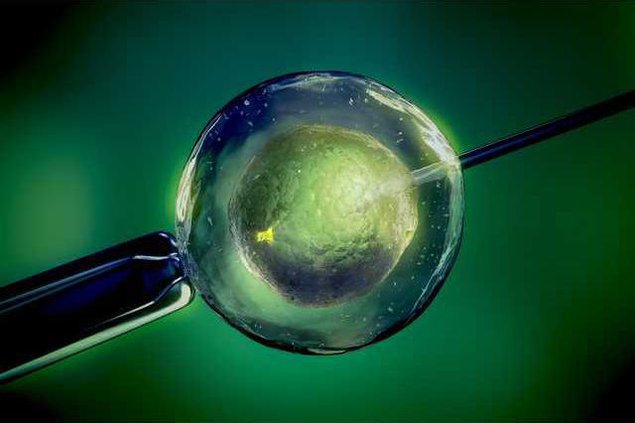 7722aebf4ec6ca5216e027ec474e28ec53d210e7ca79ce51d1333b5b2136c613