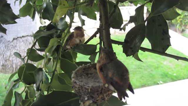 833bb899374908804416e4509261a05f52cd6362a8bfd0cf266b8ee5859f1181