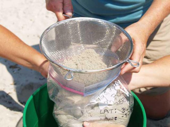 Tybee Microplastics 3 a