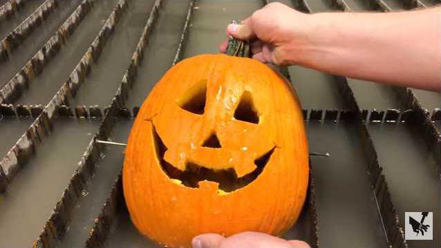 c7173ba6825a8bf1d551149c2cdd6236e08b9fc315bb1f0f2d191d7de767afc0