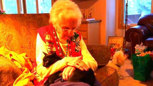 cc2e4c1ae6fc19e4892c1df059623d29ec668129c378ea7c46a7b4e441673a4e