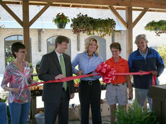 ribbon cut flower pot