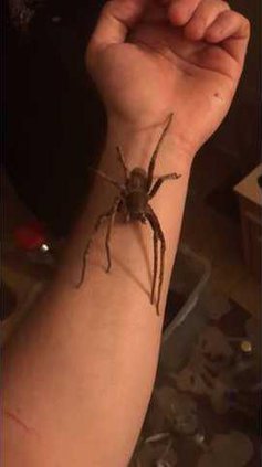 15211050cffb83a3bea5a4b5ad49df91fa69dd2b041c8a26bf67b9ab8db01c76