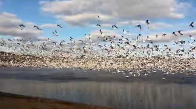 57f8378183ec582acc3d2e1431bda8bb9343c1d8bfab7e707d819b42bfe69dab