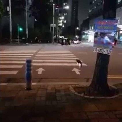 91488e10fc664f64a6b311e4e9697f4f6967a74fec35e208af44a389d7098999