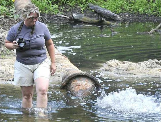 Ogeechee River file web