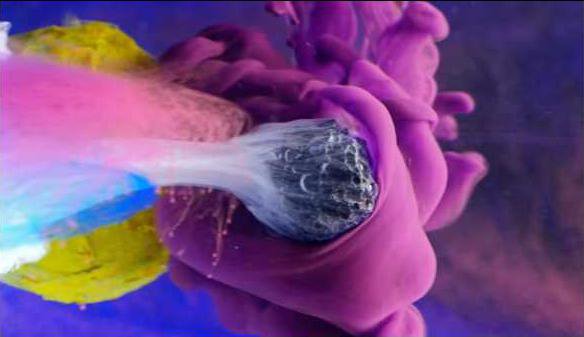 b9c2cf6f765eeb5eb9d10a558fa510c75cf0bd28d95687ca5da5ec0684e74e42