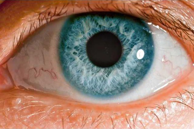 1954ab7e503e27edc1cafc943c89f6b7321ba82a702d1c302784dc971ce28e9e