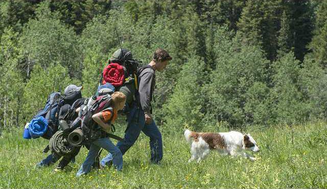 aa4e19cbd90c6f9e1abadea75e280fbf10be88a80f3a8b26b5a0233a167e4196