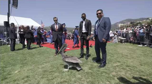 bf6540c2dcb9b9bae324c644d5c0982ce205b54a03d59ee7be185fdf0298eedb