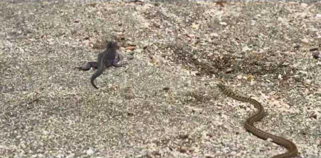 ef89d21fa4f9e8e6ff148a899d273c8247abf6574ff297e29bb9f777743b1e63